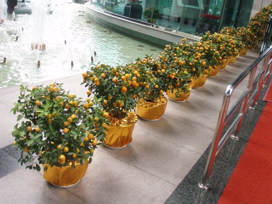 productos valencianos en China.JPG